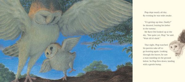 Produktbild: The Owl Who Was Afraid of the Dark