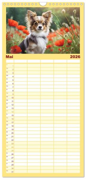 Produktbild: Familienplaner 2026 - Chihuahuas - Kleine Hunde - gro&szlig;e Temperamentb&uuml;ndel mit 5 Spalten (Wandkalender, 21 x 45 cm) CALVENDO