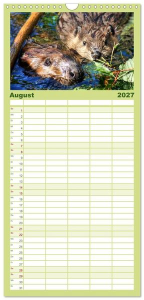 Produktbild: Familienplaner 2027 - Das Leben der Biber mit 5 Spalten (Wandkalender, 21 x 45 cm) CALVENDO