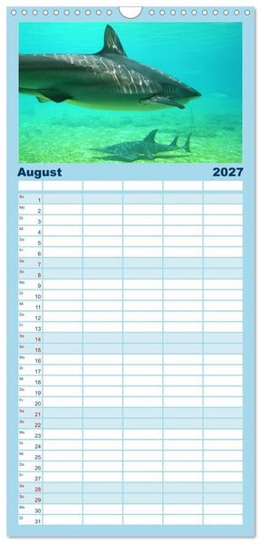 Produktbild: Familienplaner 2027 - Abenteuer Riff - bunte Unterwasserwelt mit 5 Spalten (Wandkalender, 21 x 45 cm) CALVENDO