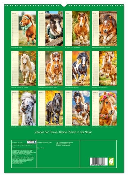 Produktbild: Zauber der Ponys. Kleine Pferde in der Natur (hochwertiger Premium Wandkalender 2026 DIN A2 hoch), Kunstdruck in Hochglanz