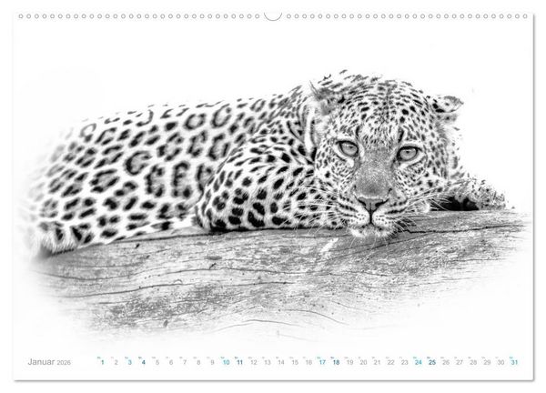 Produktbild: AFRIKA - Schwarz-weiss Fotografien im modernen "High Key" Look (Wandkalender 2026 DIN A2 quer), CALVENDO Monatskalender