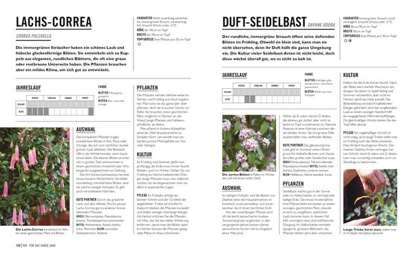 Produktbild: Gr&uuml;nes Gartenwissen. Pflanzen im Topf