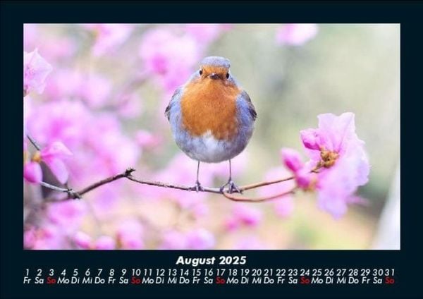 Produktbild: Vogelparadies 2025 Fotokalender DIN A5