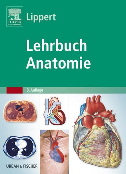 Produktbild: Lehrbuch Anatomie