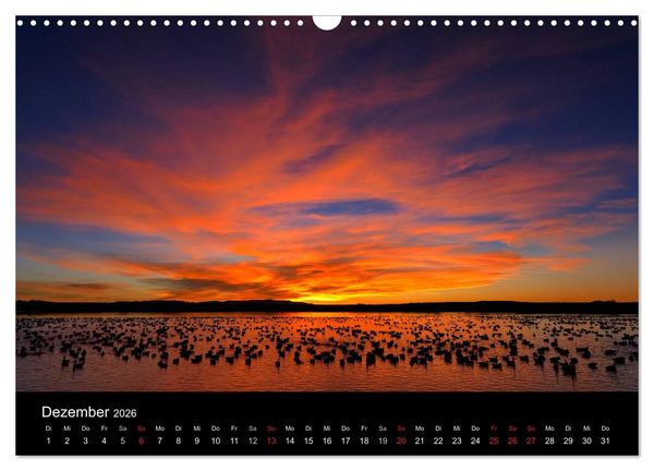 Produktbild: V&ouml;gel & Landschaften (Wandkalender 2026 DIN A3 quer), CALVENDO Monatskalender