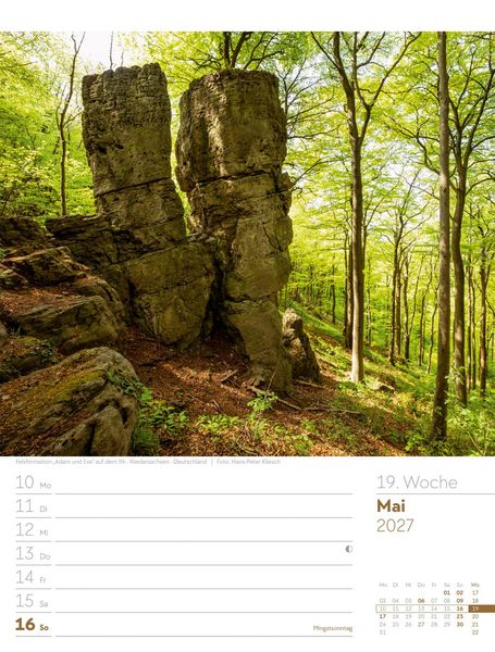 Produktbild: Unser Wald Wochenplaner Kalender 2027