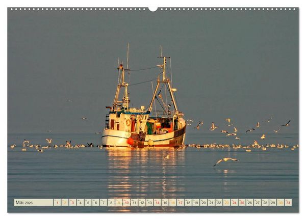 Produktbild: Maritime Augenblicke - Fischkutter (Wandkalender 2026 DIN A2 quer), CALVENDO Monatskalender