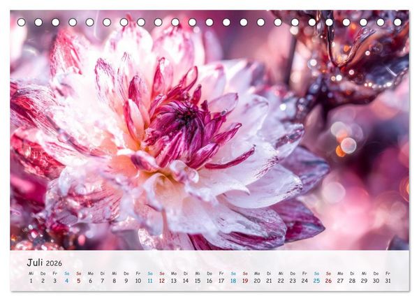 Produktbild: Florale Kompositionen (Tischkalender 2026 DIN A5 quer), CALVENDO Monatskalender