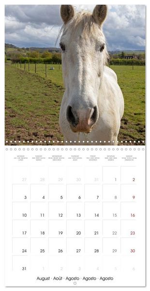 Produktbild: The Cotswolds - Idyllic part of England (Wall Calendar 2026 12 &times; 12 Inch) CALVENDO 12 Month Wall Calendar