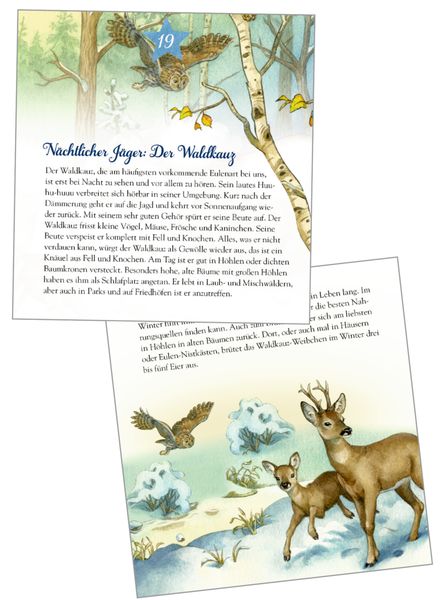 Produktbild: Die Tiere im Winterwald und ..., Zettel-Adventskalender