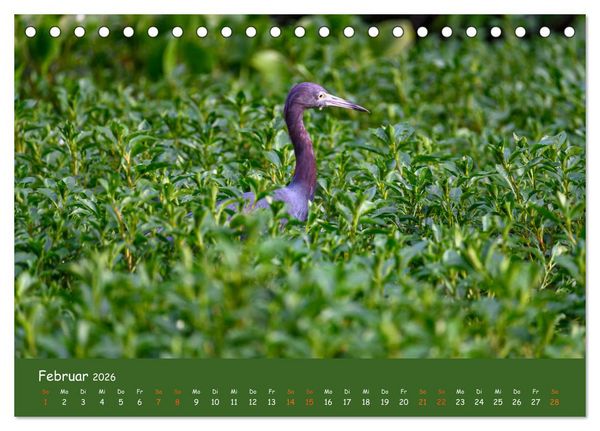 Produktbild: Costa Rica - Naturparadies zwischen Karibik und Pazifik (Tischkalender 2026 DIN A5 quer), CALVENDO Monatskalender