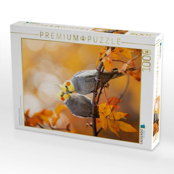 Produktbild: CALVENDO Puzzle Nymphensittiche im Herbstlaub | 1000 Teile Lege-Gr&ouml;&szlig;e 64x48cm Foto-Puzzle f&uuml;r gl&uuml;ckliche Stunden