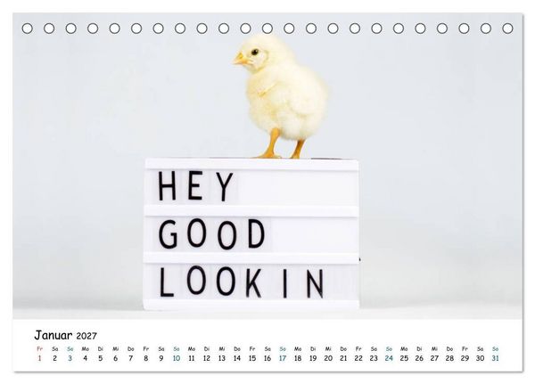 Produktbild: Tierkinder ganz frech (Tischkalender 2027 DIN A5 quer), CALVENDO Monatskalender