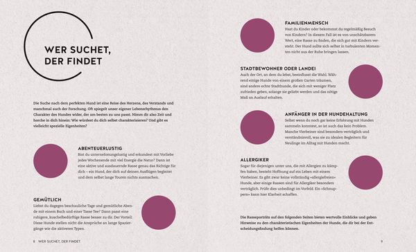 Produktbild: Finde den Hund, der zu dir passt