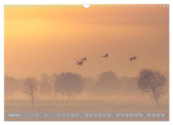 Produktbild: KranichRomantik (Wandkalender 2026 DIN A3 quer), CALVENDO Monatskalender