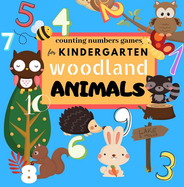 Produktbild: Counting Numbers Games For Kindergarten