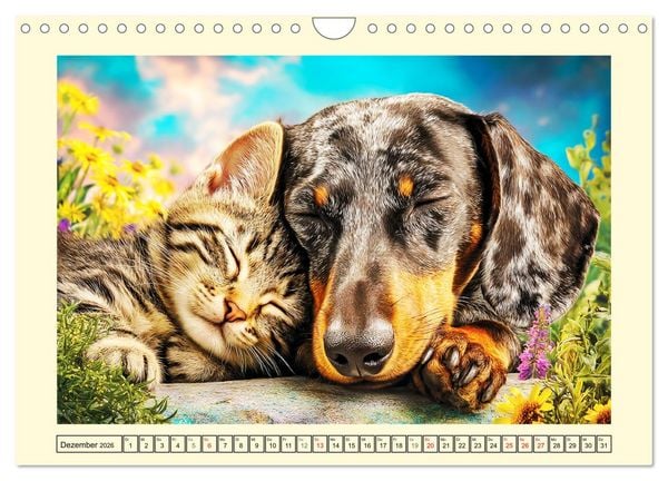 Produktbild: Dackelgl&uuml;ck Deluxe. Lange Ohren, kurze Beine und viel Charme (Wandkalender 2026 DIN A4 quer), CALVENDO Monatskalender