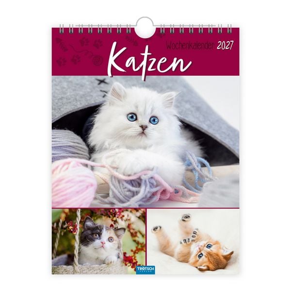 Produktbild: TR&Ouml;TSCH - Wochenkalender zum H&auml;ngen Katzen 2027