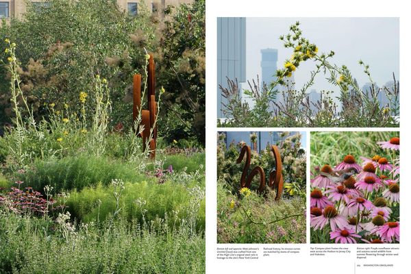 Produktbild: Gardens of the High Line