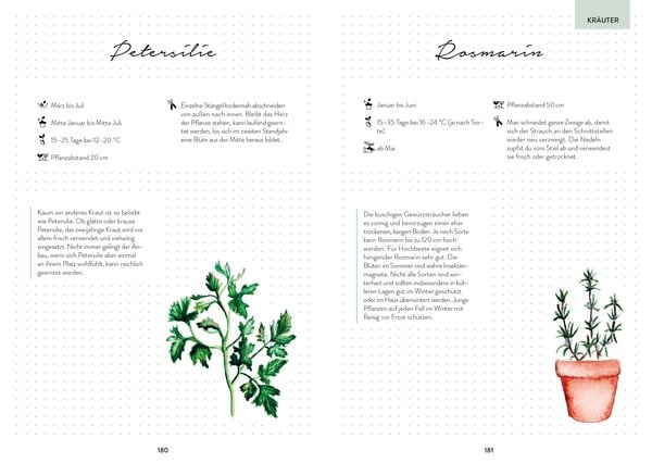 Produktbild: Hochbeet-Gl&uuml;ck &ndash; Das illustrierte Gartenbuch