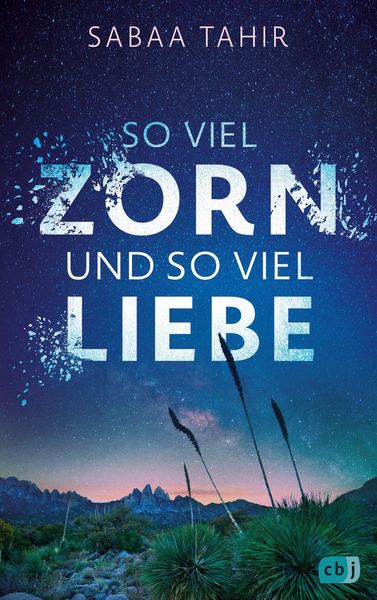 Produktbild: So viel Zorn und so viel Liebe