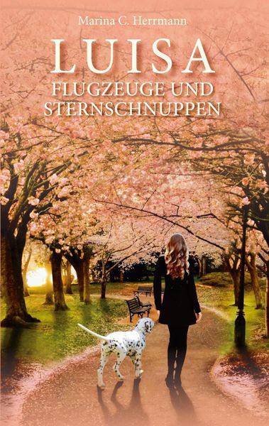 Produktbild: Luisa - Flugzeuge und Sternschnuppen