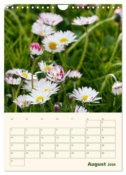 Produktbild: Vertr&auml;umte G&auml;nsebl&uuml;mchen (Wandkalender 2026 DIN A4 hoch), CALVENDO Monatskalender