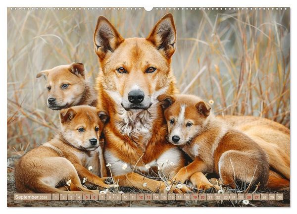 Produktbild: Tierkinder des S&uuml;dens (hochwertiger Premium Wandkalender 2026 DIN A2 quer), Kunstdruck in Hochglanz