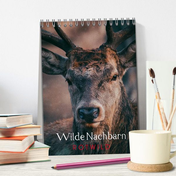 Produktbild: Wilde Nachbarn: Rotwild (Tischkalender 2026 DIN A5 hoch), CALVENDO Monatskalender