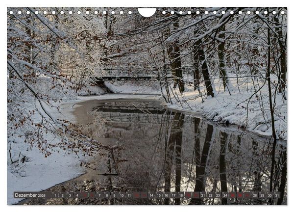 Produktbild: Das Steinfurter Bagno im Wandel der Jahreszeiten (Wandkalender 2026 DIN A4 quer), CALVENDO Monatskalender