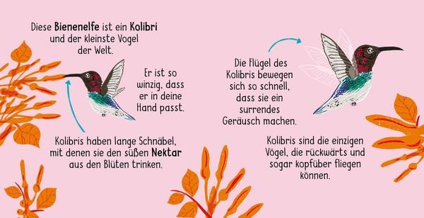 Produktbild: 50 W&ouml;rter &uuml;ber die Natur - V&ouml;gel