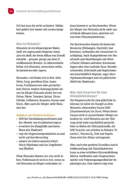 Produktbild: Der Burnout-Notfallkoffer