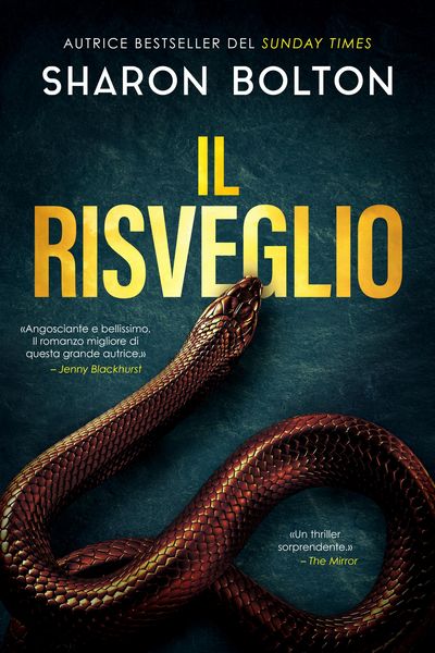 Produktbild: Il risveglio