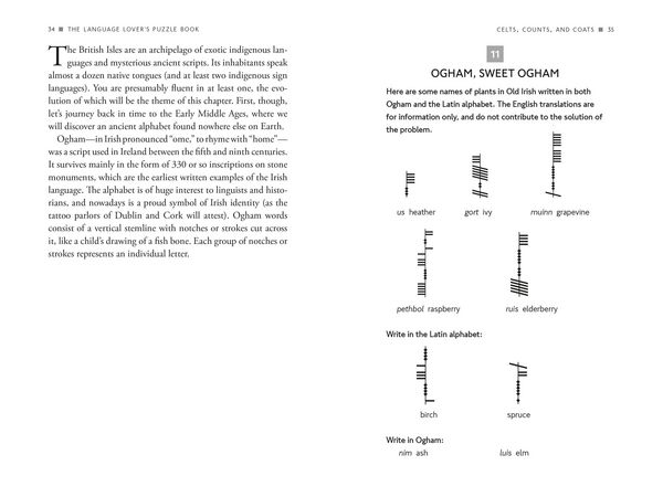 Produktbild: The Language Lover's Puzzle Book