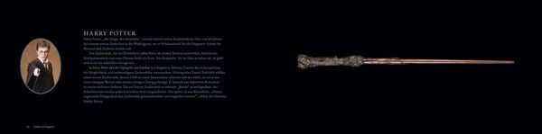 Produktbild: Harry Potter: Das Buch der Zauberst&auml;be