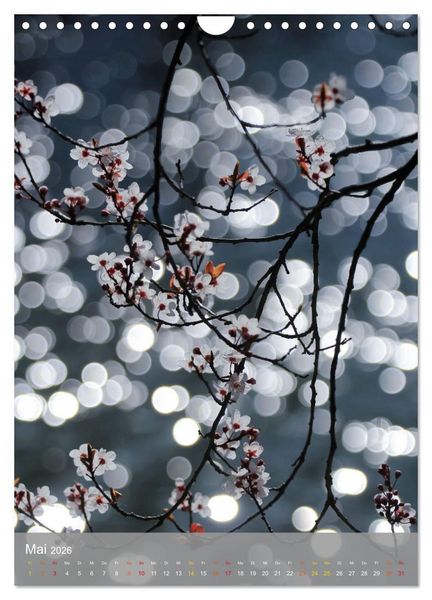 Produktbild: Mit Bokeh-Fotografie durch das Jahr (Wandkalender 2026 DIN A4 hoch), CALVENDO Monatskalender
