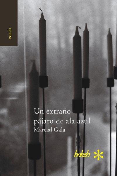 Produktbild: Un extra&ntilde;o p&aacute;jaro de ala azul