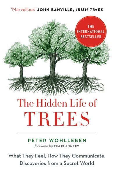 Produktbild: The Hidden Life of Trees