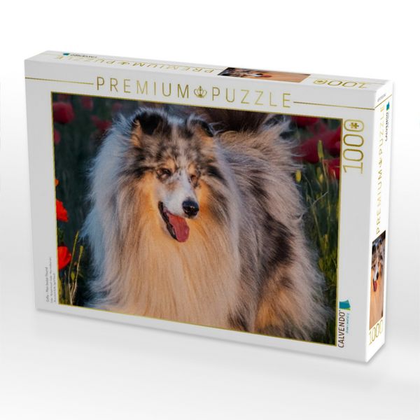 Produktbild: CALVENDO Puzzle Collie - Mein bester Freund | 1000 Teile Lege-Gr&ouml;&szlig;e 64x48cm Foto-Puzzle f&uuml;r gl&uuml;ckliche Stunden