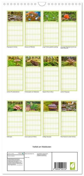 Produktbild: Familienplaner 2026 - Vielfalt am Waldboden mit 5 Spalten (Wandkalender, 21 x 45 cm) CALVENDO