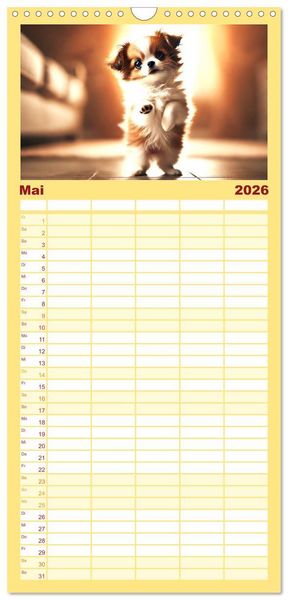 Produktbild: Familienplaner 2026 - Chihuahua-Welpen &ndash; Kleine Wunder mit 5 Spalten (Wandkalender, 21 x 45 cm) CALVENDO