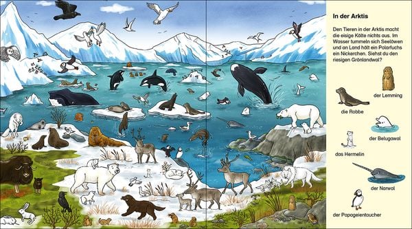 Produktbild: Suche und finde! - Wilde Tiere