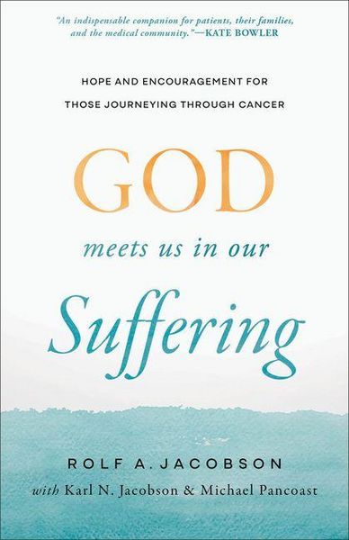 Produktbild: God Meets Us in Our Suffering