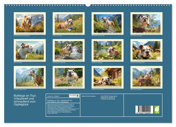 Produktbild: Bulldogs on Tour. Urlaubsreif und schnaufend zum Gipfelgl&uuml;ck (hochwertiger Premium Wandkalender 2026 DIN A2 quer), Kunstdruck in Hochglanz