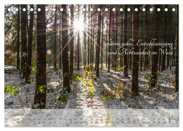 Produktbild: Shinrin yoku - Waldbaden 2026 (Tischkalender 2026 DIN A5 quer), CALVENDO Monatskalender