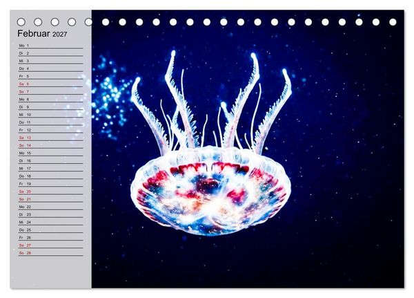 Produktbild: Quallen - Faszinierende Urzeitwesen der Meere (Tischkalender 2027 DIN A5 quer), CALVENDO Monatskalender