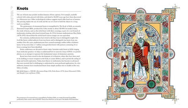 Produktbild: The Math Book