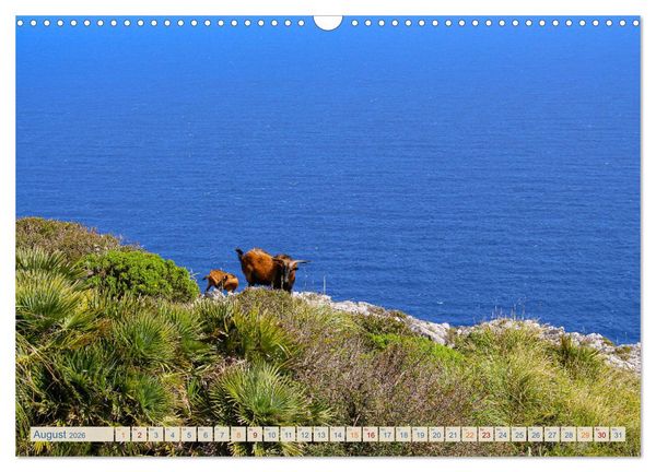 Produktbild: Tramuntana Trekking - Wandern auf Mallorca (Wandkalender 2026 DIN A3 quer), CALVENDO Monatskalender