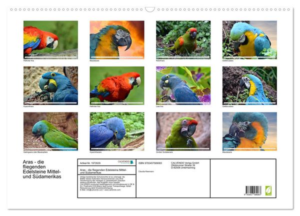 Produktbild: Aras - die fliegenden Edelsteine Mittel- und S&uuml;damerikas (Wandkalender 2026 DIN A2 quer), CALVENDO Monatskalender